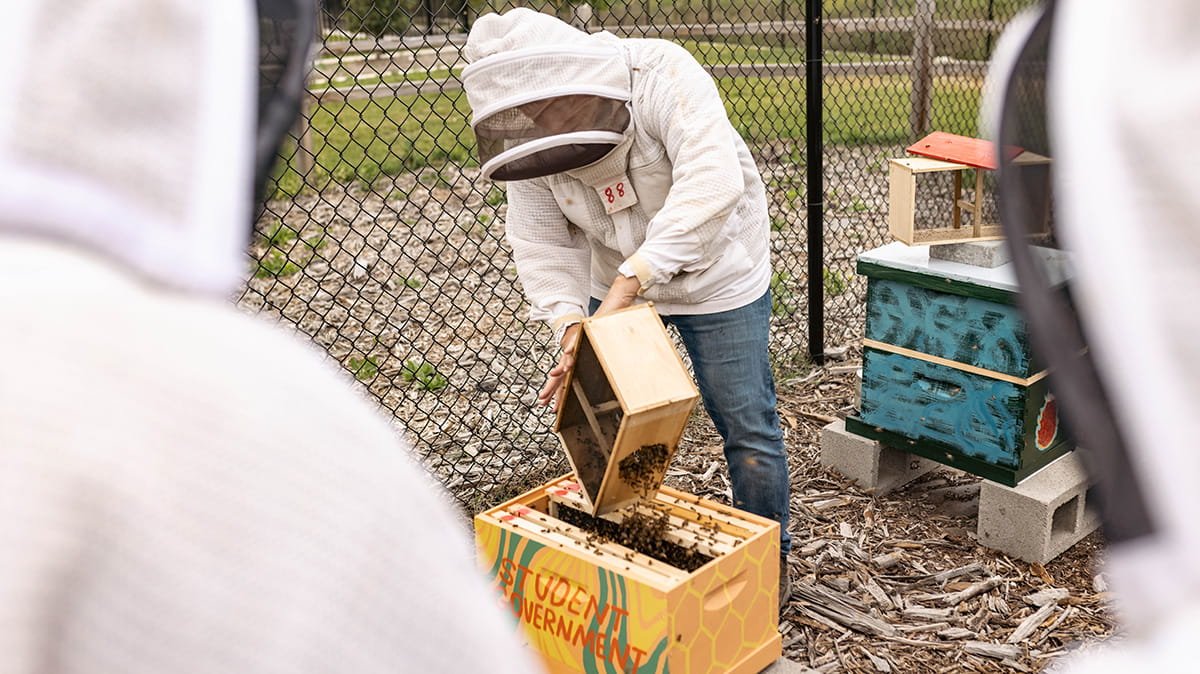 A campus beehive installation is moved by a person in protective gear.